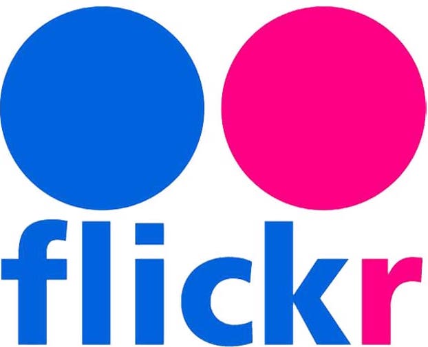 Flickr Icon